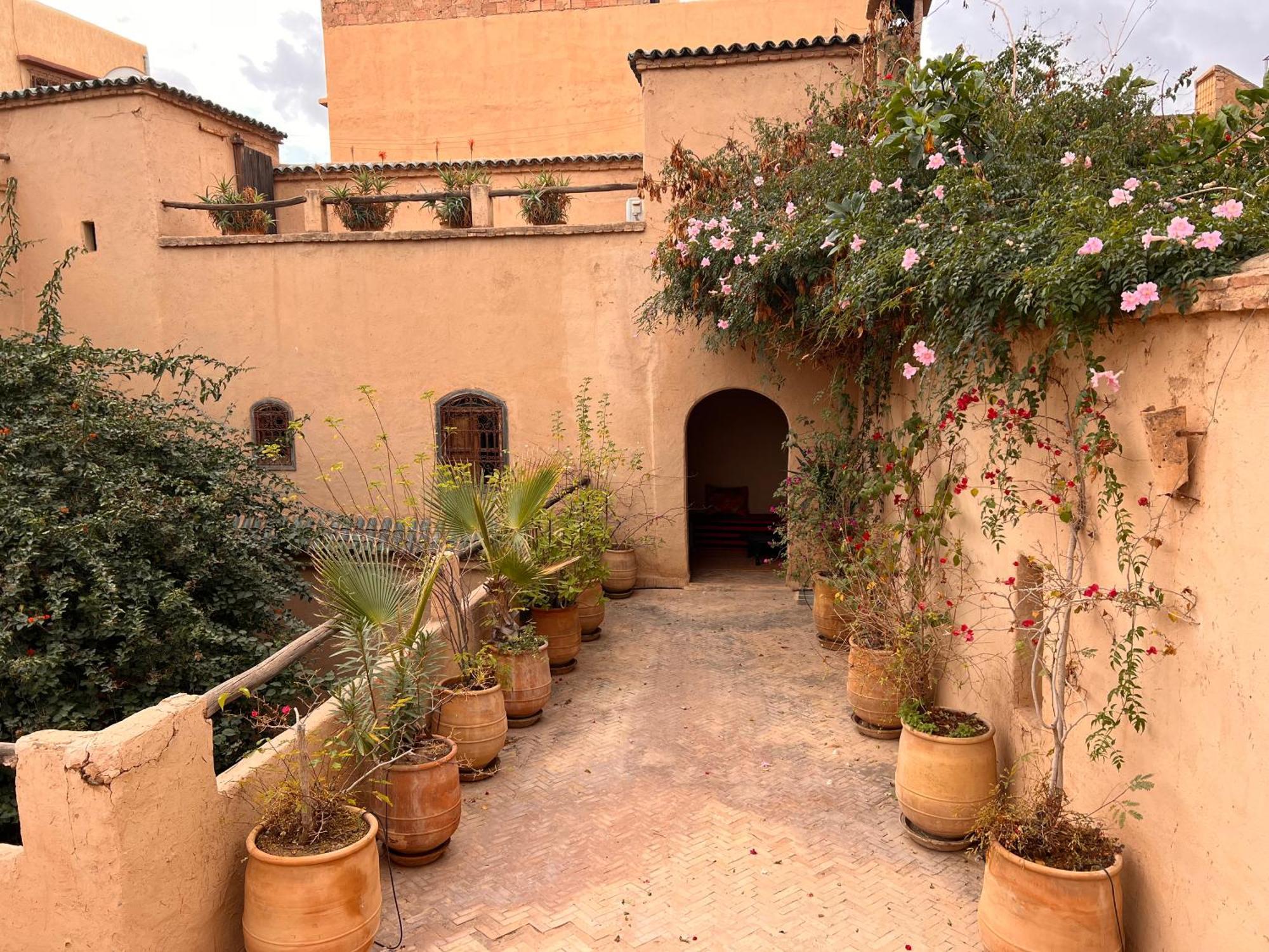 Dar Les Dattiers تارودانت‎ المظهر الخارجي الصورة