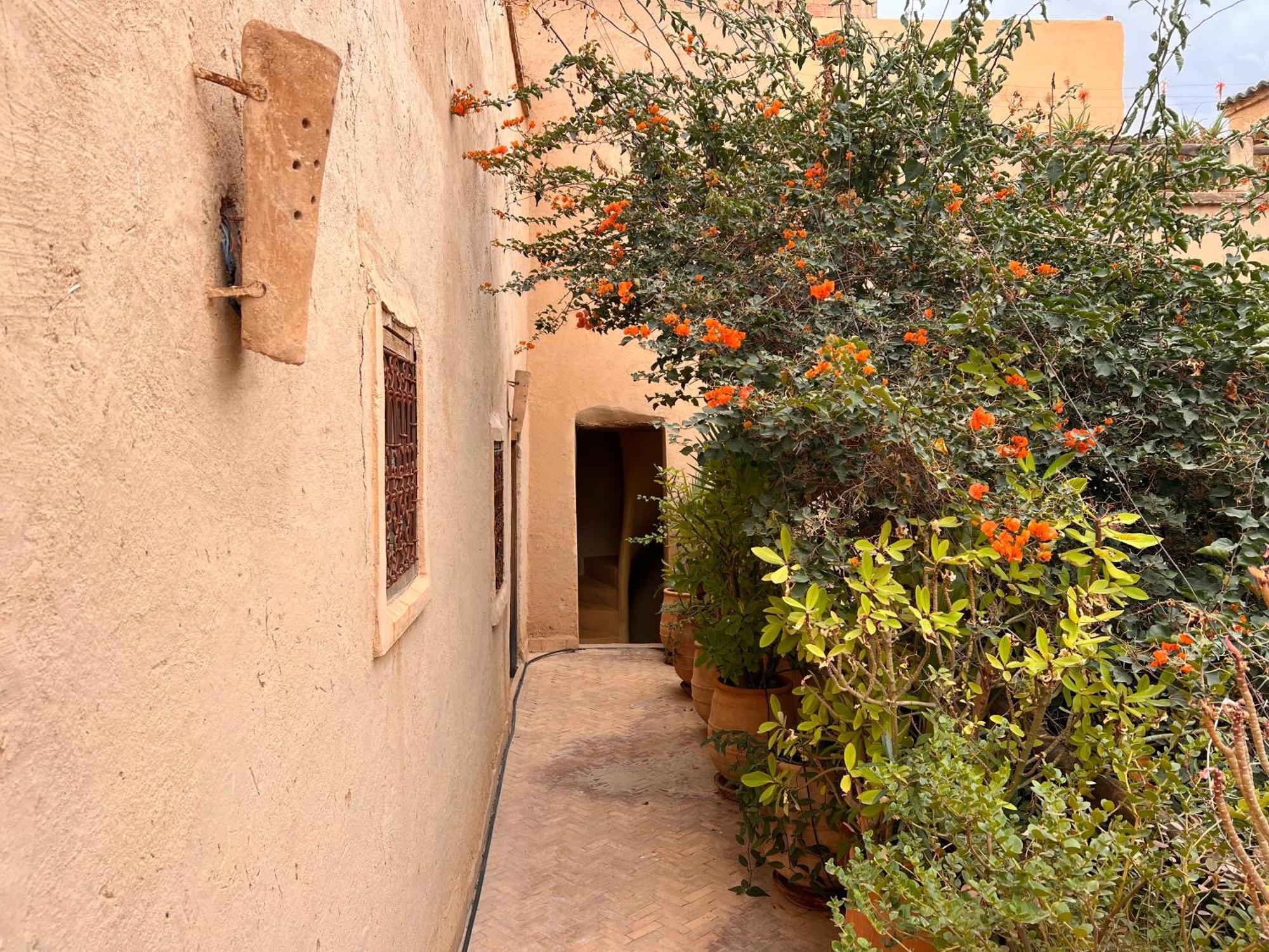 Dar Les Dattiers تارودانت‎ المظهر الخارجي الصورة